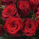 Monte Carlo rote Rosen