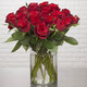Monte Carlo red roses