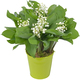 Woodland Lily-of-the-Valley in a Green Vase