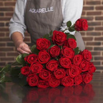 Magnificent Red Roses