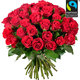Red Velvet Fairtrade roses