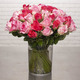 Pink roses plus 30 daffodils