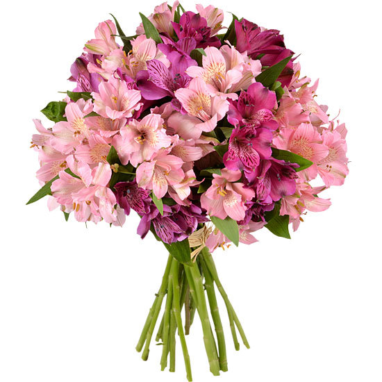 Send a bouquet of pink and purple alstroemerias