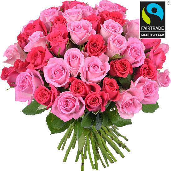 Bouquet of pink Fairtrade roses