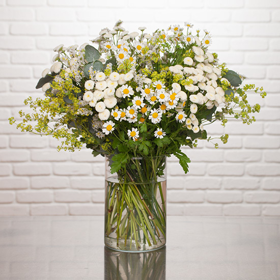 Sommerblümchen 3