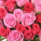 Strauß mit rosa Rosen