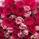 Strauß mit rosa Rosen