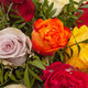 Rosen aus Ecuador
