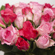 Strauß Zärtlichkeit - rosa Rosen