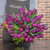 Tulpen 'Purple'