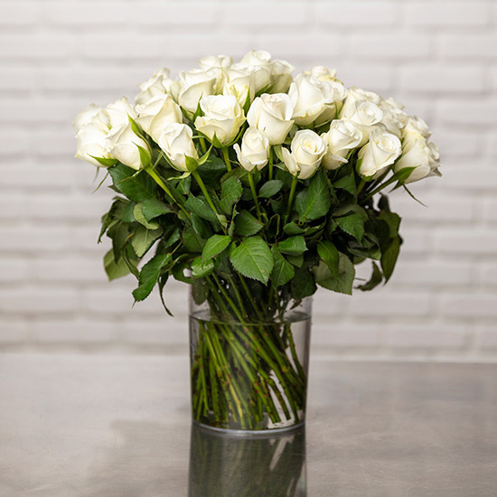 Weiße Rosen 3