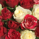 Weiße und rote Rosen schöner Strauß