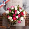 Beautiful Ranunculus
