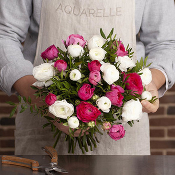 Wunderschöne Ranunkeln