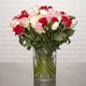 Wundervolle Rosen + 30 Narzissen