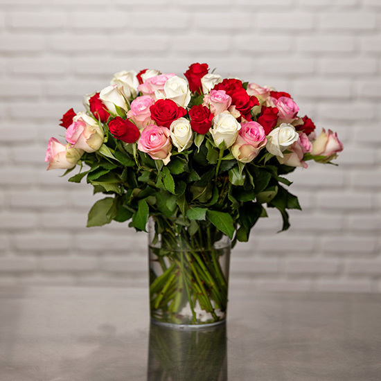 Wundervolle Rosen 3