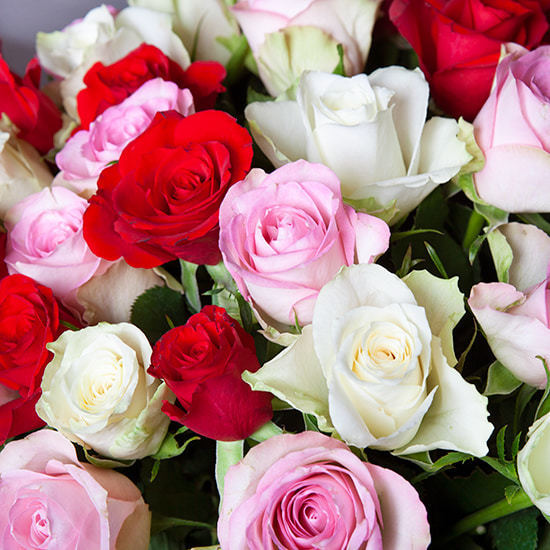 Wundervolle Rosen 2