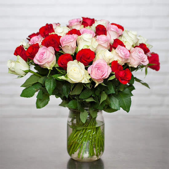 Wundervolle Rosen 3