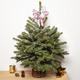 Fairytale Christmas Tree