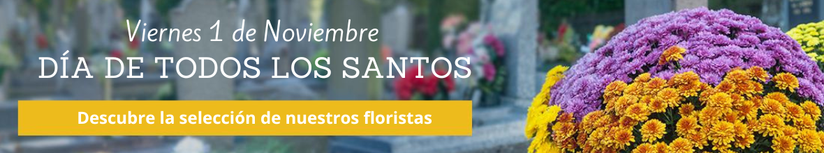 dia de todos los santos