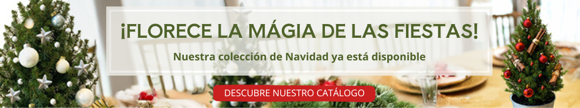 Navidad