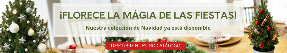 NAVIDAD