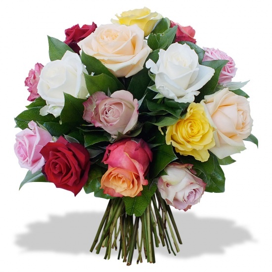 Same day delivery available with 12 Multicolor Roses