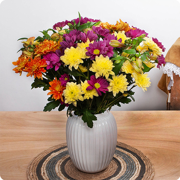Boheme. Send a Daisy Bouquet Today