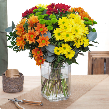 Same day delivery available with the Apricot Bouquet.