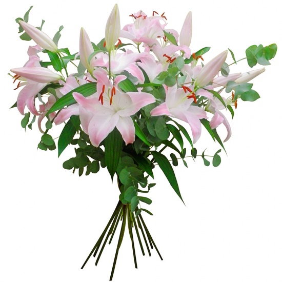 Same day delivery available with the Lily Bouquet