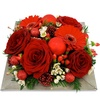 Same day delivery available with Buon Natale Christmas Arrangement