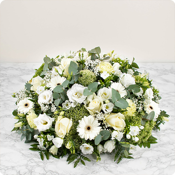 Centro funerario Olimpia - envío urgente para funeral