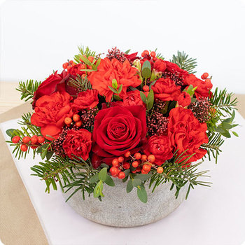 Enviar la Composición Luz de Navidad a domicilio