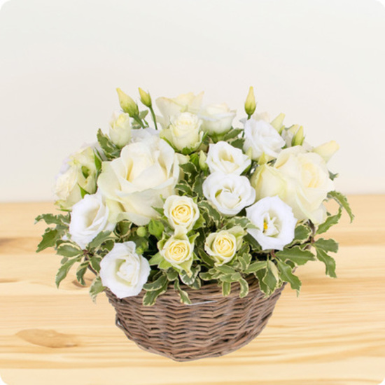 Same day delivery available with the Mimi Arrangement