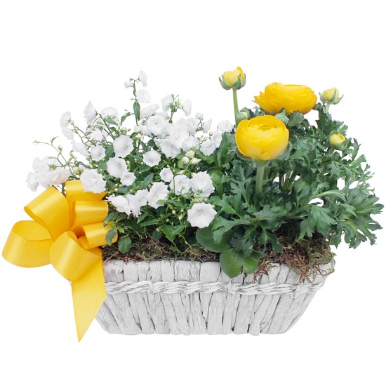 Same day delivery available with the Indiana Arrangement