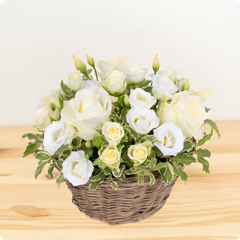 Same day delivery available with the Hanna
