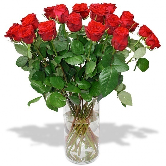 Same day delivery available with Saint George´s Red Roses