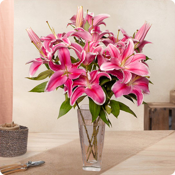 Lily Bouquet - home delivery