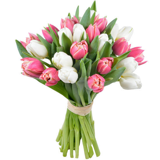 Details 48 tulipanes rosados y blancos