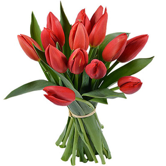 Tulipanes Rojos - Tulipanes a domicilio | Teleflora