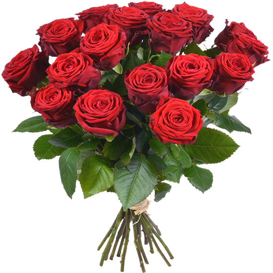 Ramo Rosas Rojas XL - rosas a domicilio | Teleflora