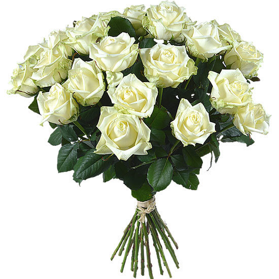 Same day delivery available with the White Roses Bouquet