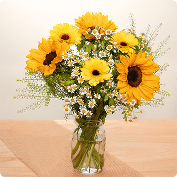 Enviar el Ramo Sunflower a domicilio