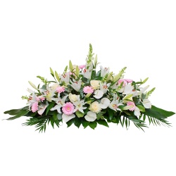Enviar el Centro Funerario Excelsis a difunto
