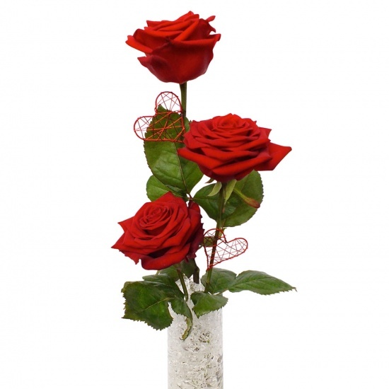 Same day delivery available with the Trio of Roses Bouquet
