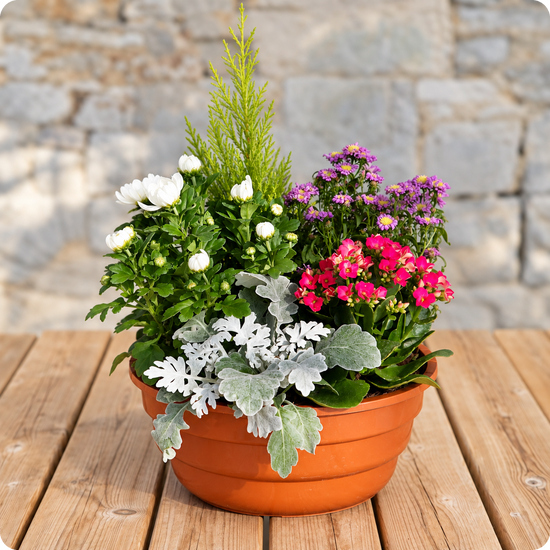 Coupe de plante du fleuriste pour deuil