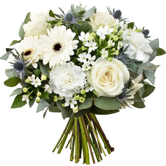 Flower Delivery In Trinidad And Tobago Best Flower Site